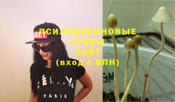 прущие крисы Балабаново