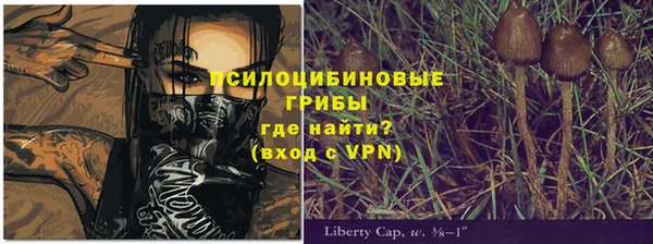 прущие крисы Балабаново