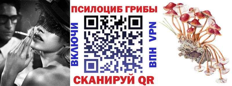 Псилоцибиновые грибы Psilocybine cubensis  что такое наркотик  Кулебаки 