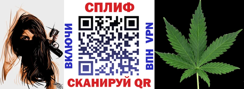 Каннабис тримм гидра ссылка Кулебаки